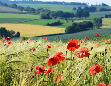 Foto heuvel in Zuid-Limburg